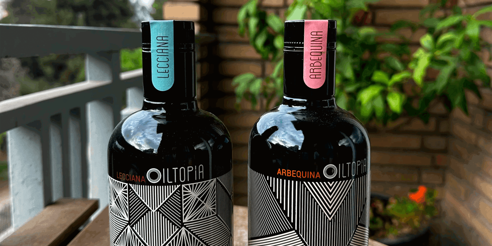 Aceite Arbequina en repostería: el secreto más dulce del aceite de oliva virgen extra