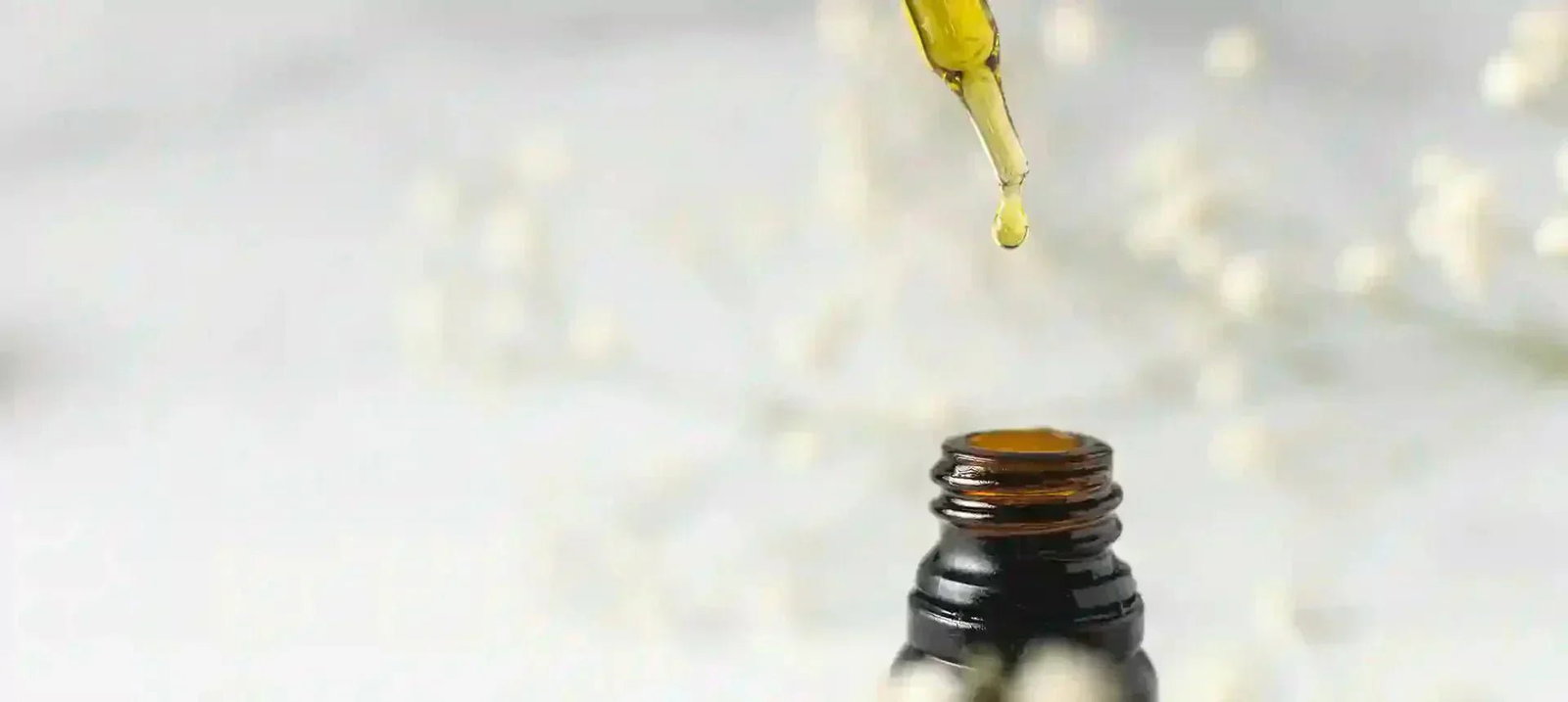 ¿Qué es el Aceite de Oliva Virgen Extra sin filtrar?